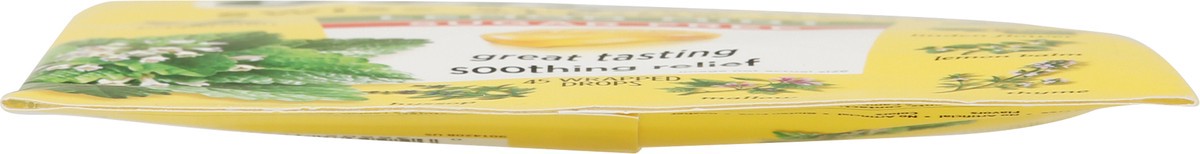 slide 6 of 9, Ricola Family Size Lemon Mint Sugar Free Oral Anesthetic 45 Drops, 45 ct