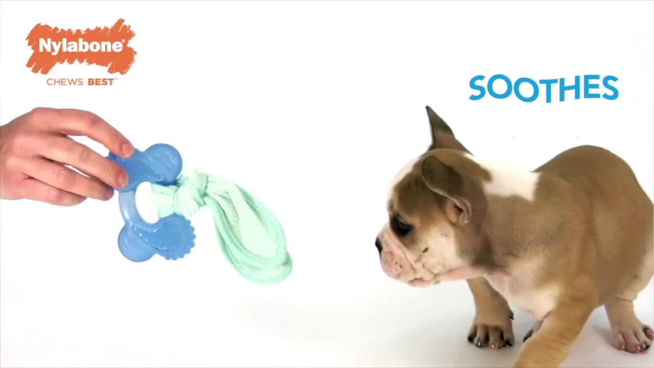 slide 8 of 9, Nylabone Puppy Pacifier Teething Toy Bacon Pacifier Small/Regular - Up to 25 Ibs.(1 Count), 1 ct