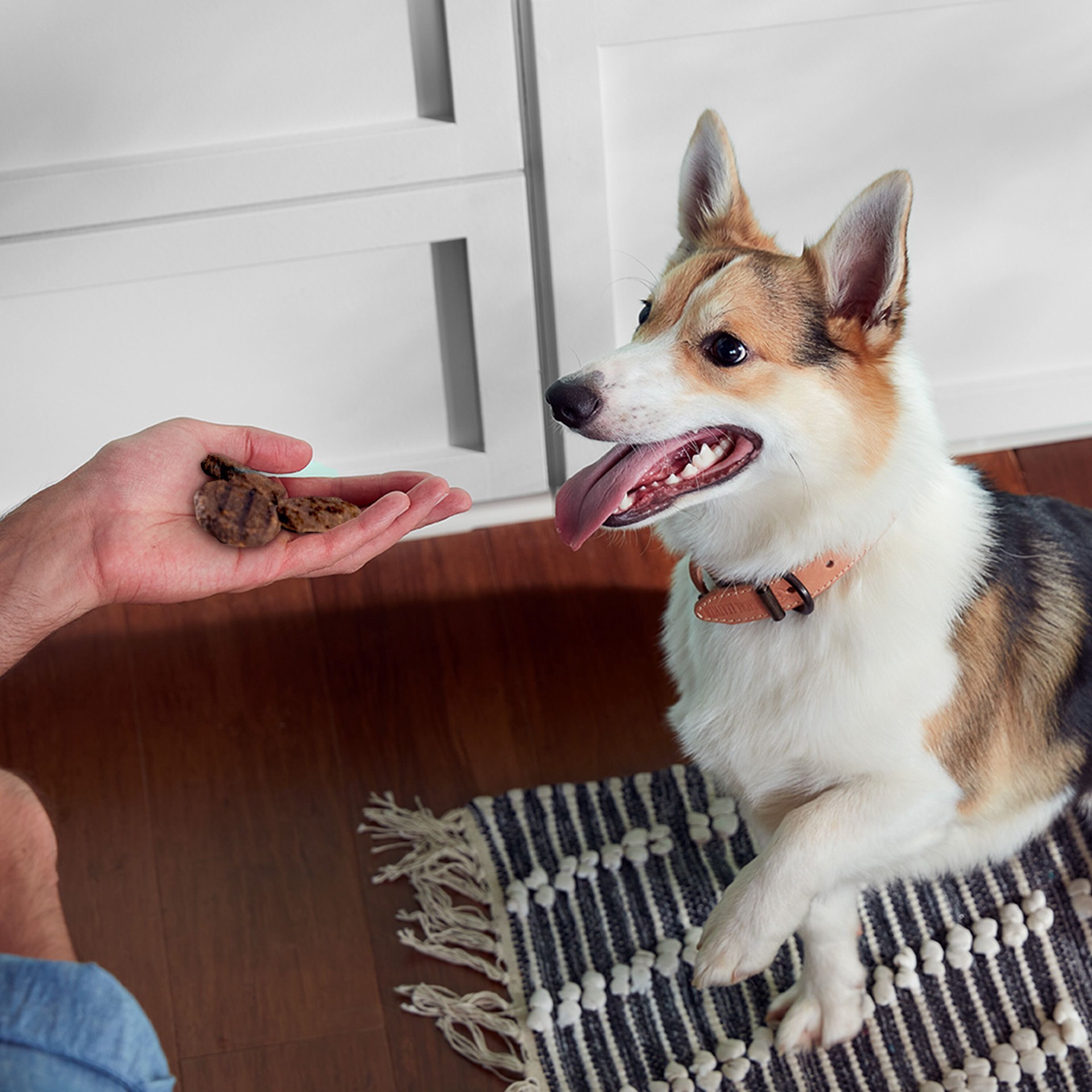 slide 9 of 9, Rachael Ray Nutrish Dog Treat, Beef, 5 oz