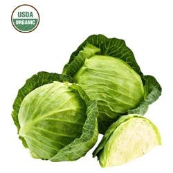 Organic Cabbage Green