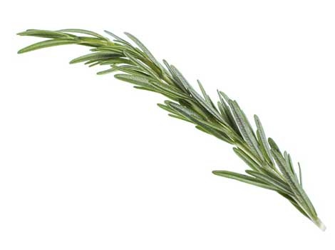 slide 1 of 1, Goodness Gardens Organic Rosemary, 0.66 oz