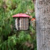 slide 10 of 29, More Birds Double Suet Feeder with Weather Guard 1 ea, 1 ct