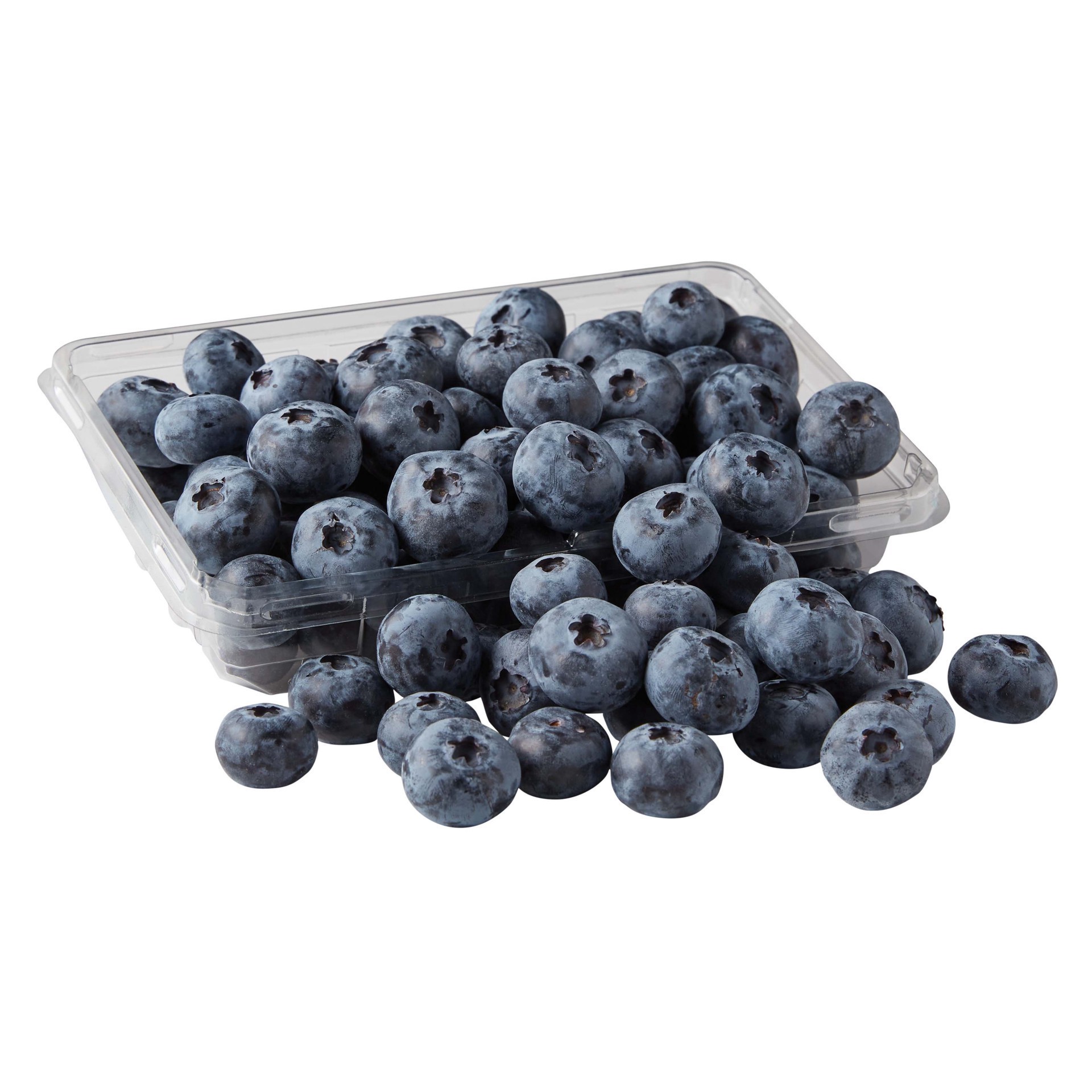 slide 1 of 1, Draper Fresh Organic Jumbo Blueberries, 11 oz