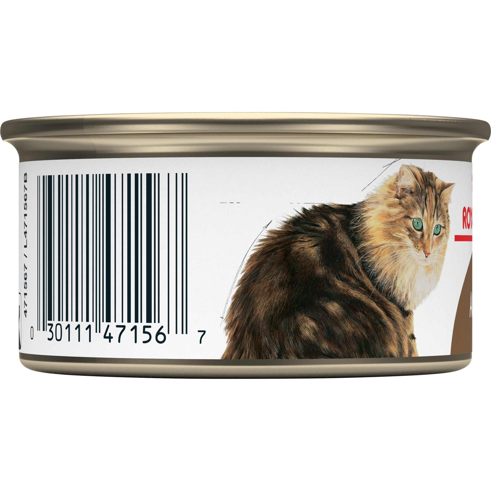 slide 2 of 7, Royal Canin Feline Health Nutrition Aging 12+ Joint Health Canned Cat Food, 3 oz
