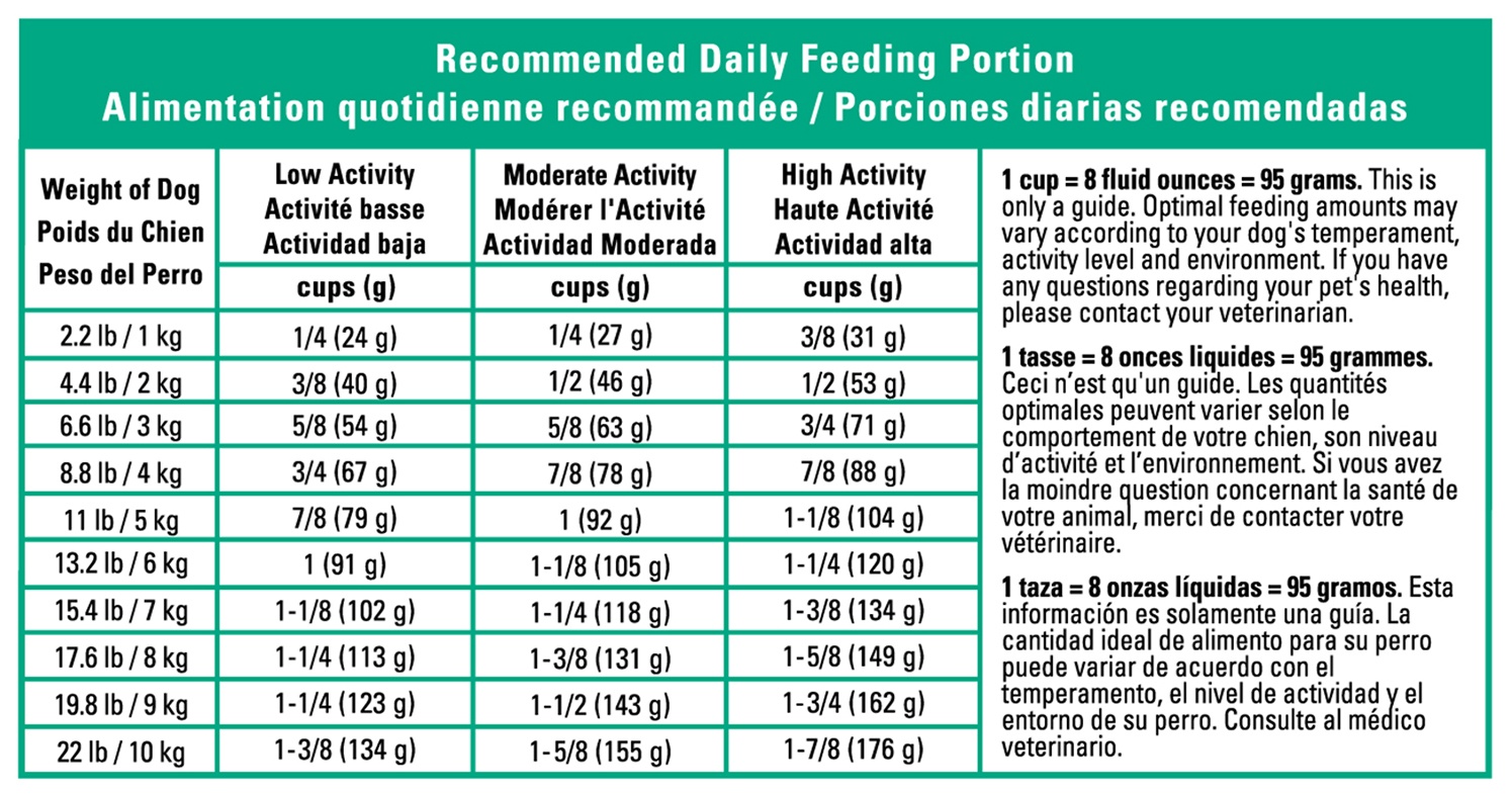 slide 6 of 9, Royal Canin Size Health Nutrition Mini Adult Dry Dog Food, 14 lb