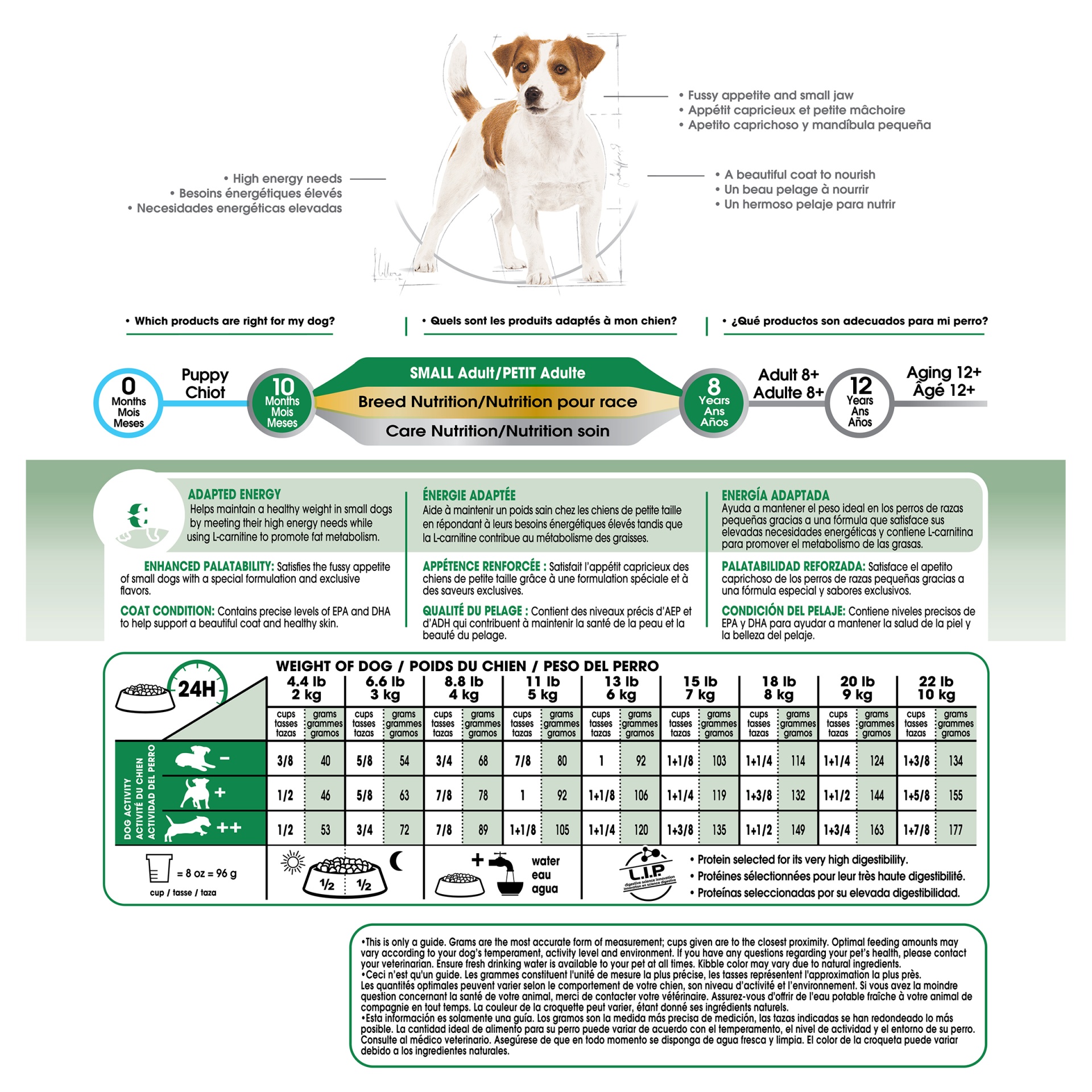 slide 4 of 9, Royal Canin Size Health Nutrition Mini Adult Dry Dog Food, 2.5 lb