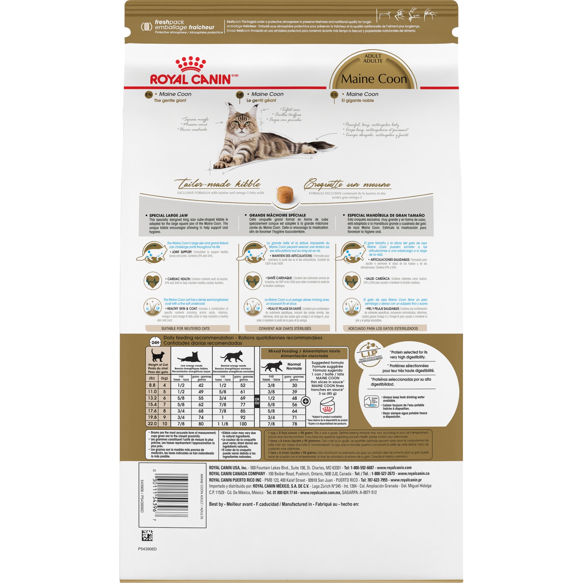 slide 2 of 9, Royal Canin Feline Breed Nutrition Maine Coon Dry Cat Food, 6 lb