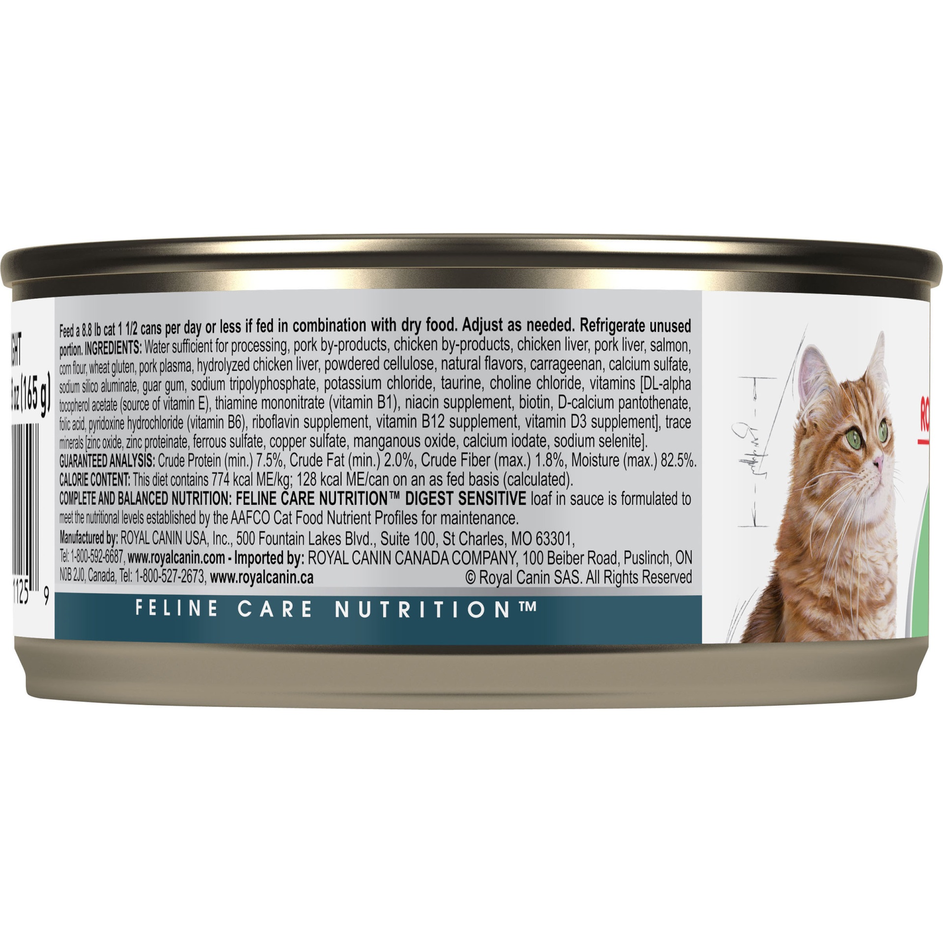 slide 6 of 7, Royal Canin Feline Health Nutrition Digest Sensitive Loaf in Sauce Canned Cat Food, 5.8 oz