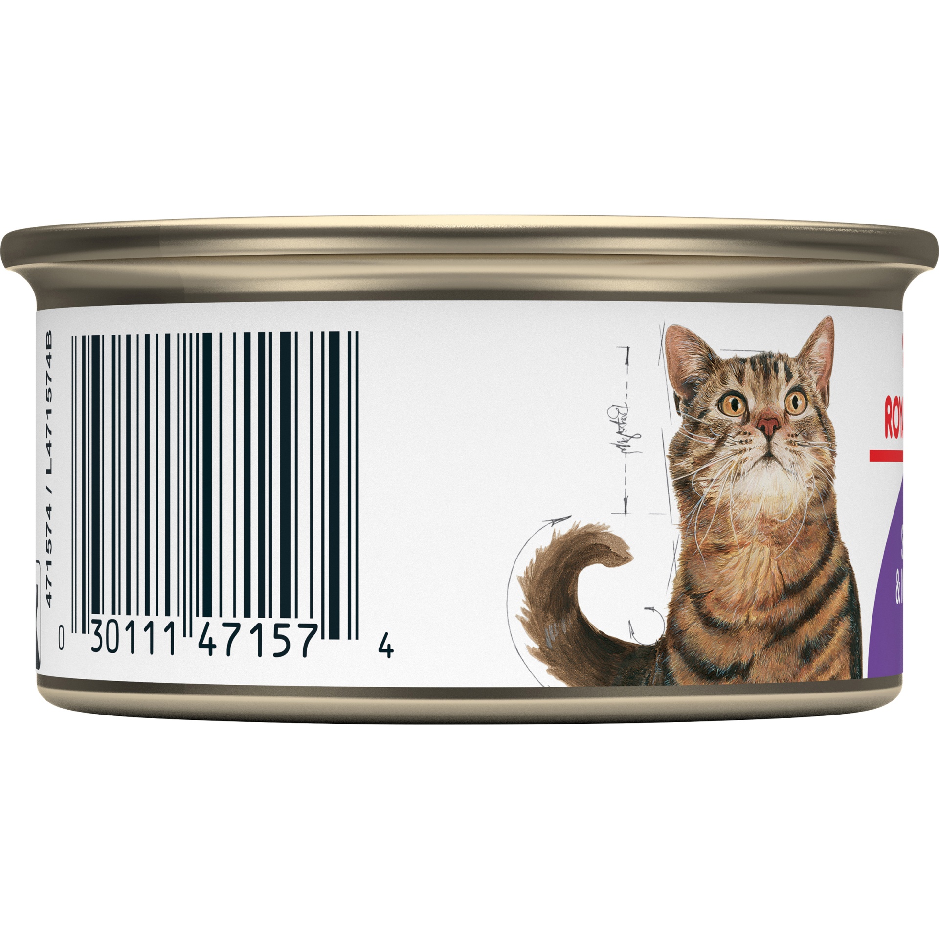 slide 2 of 7, Royal Canin Adult Spayed/Neutered Canned Cat Food, 3 oz