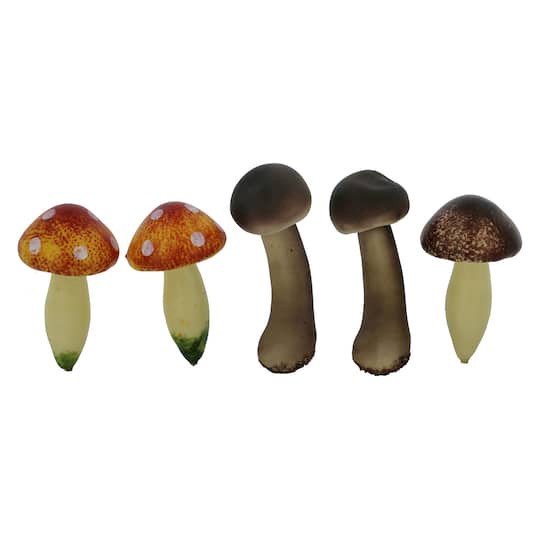 slide 1 of 6, Decorative Mushroom Mix, 5ct. By Ashland, 5 ct