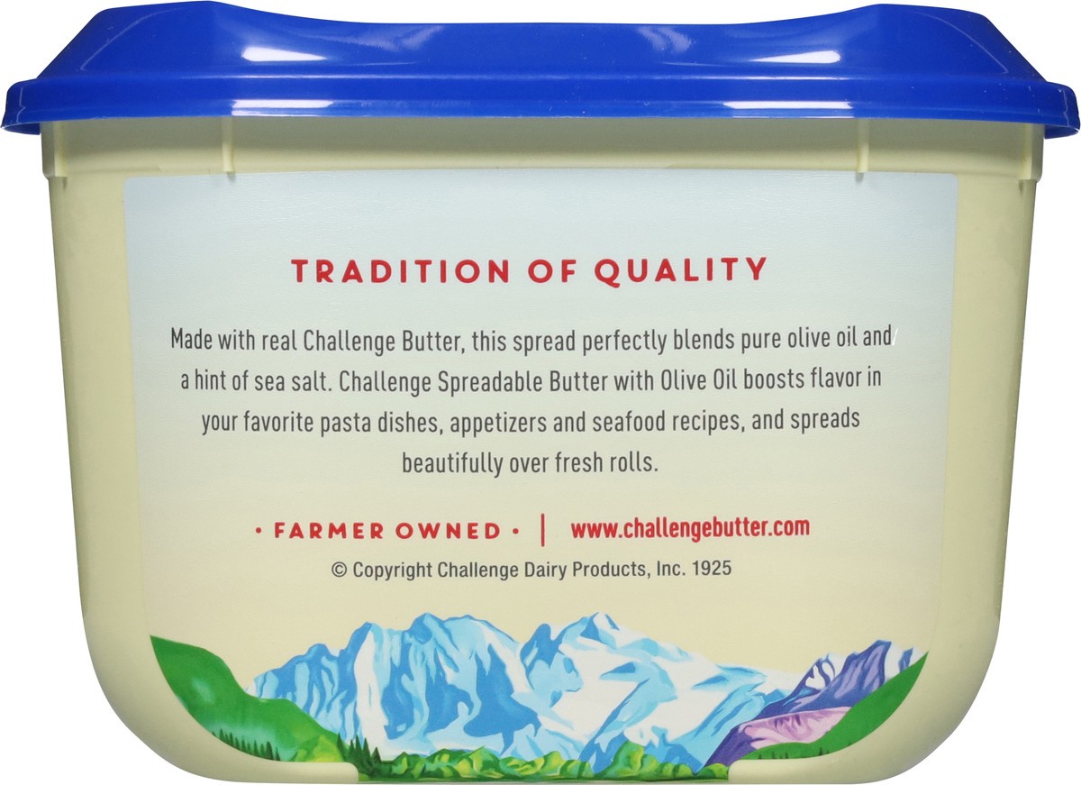 slide 11 of 13, Challenge Spreadable Sea Salted Butter with Olive Oil 13 oz, 13 oz