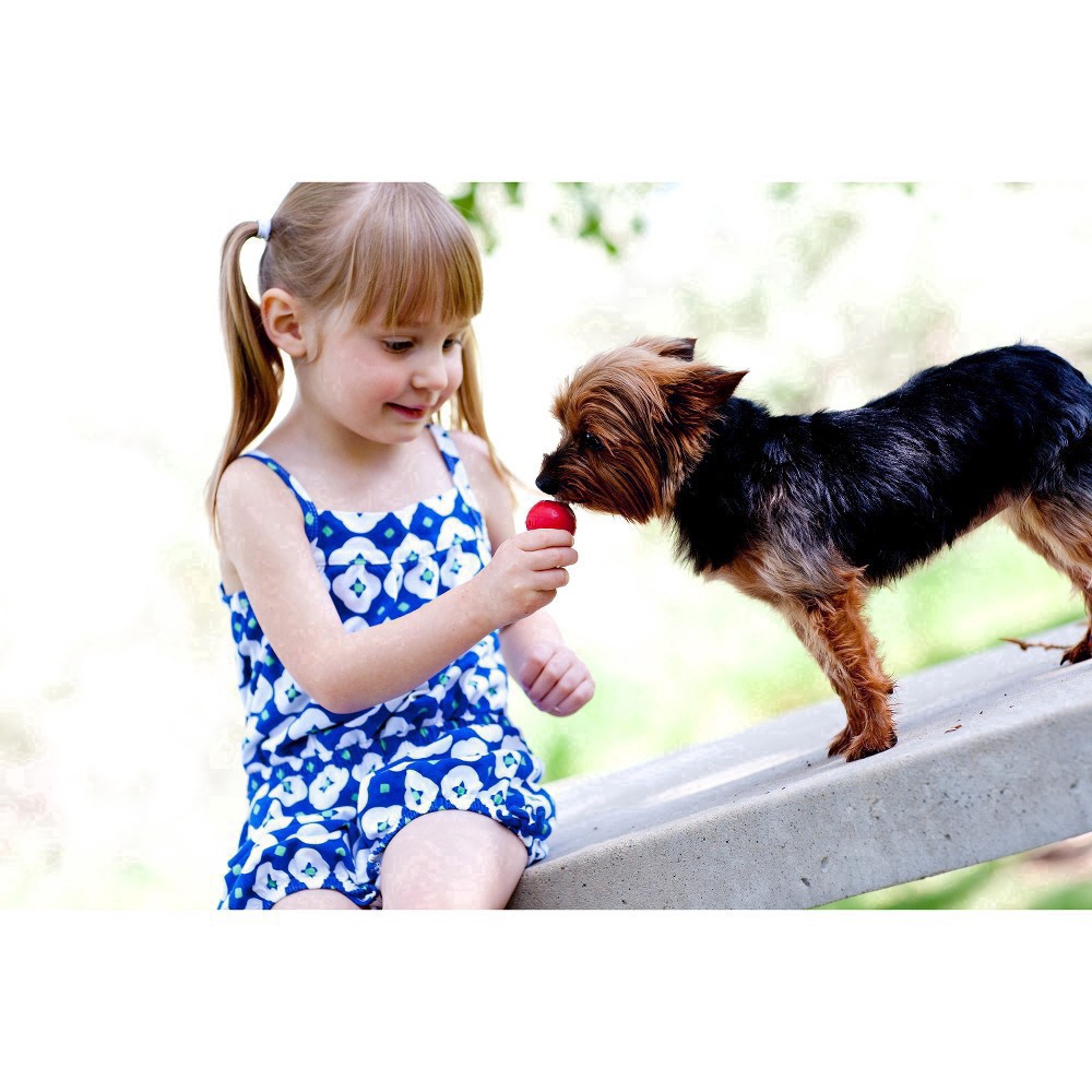 slide 34 of 38, KONG Classic Dog Toy Small 1 ea, 1 ct