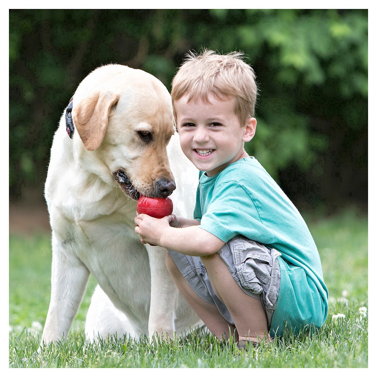 slide 20 of 38, KONG Classic Dog Toy Small 1 ea, 1 ct