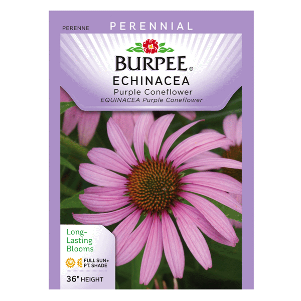 slide 1 of 1, Burpee Per Echinacea Purple Coneflower Seeds, 1 ct