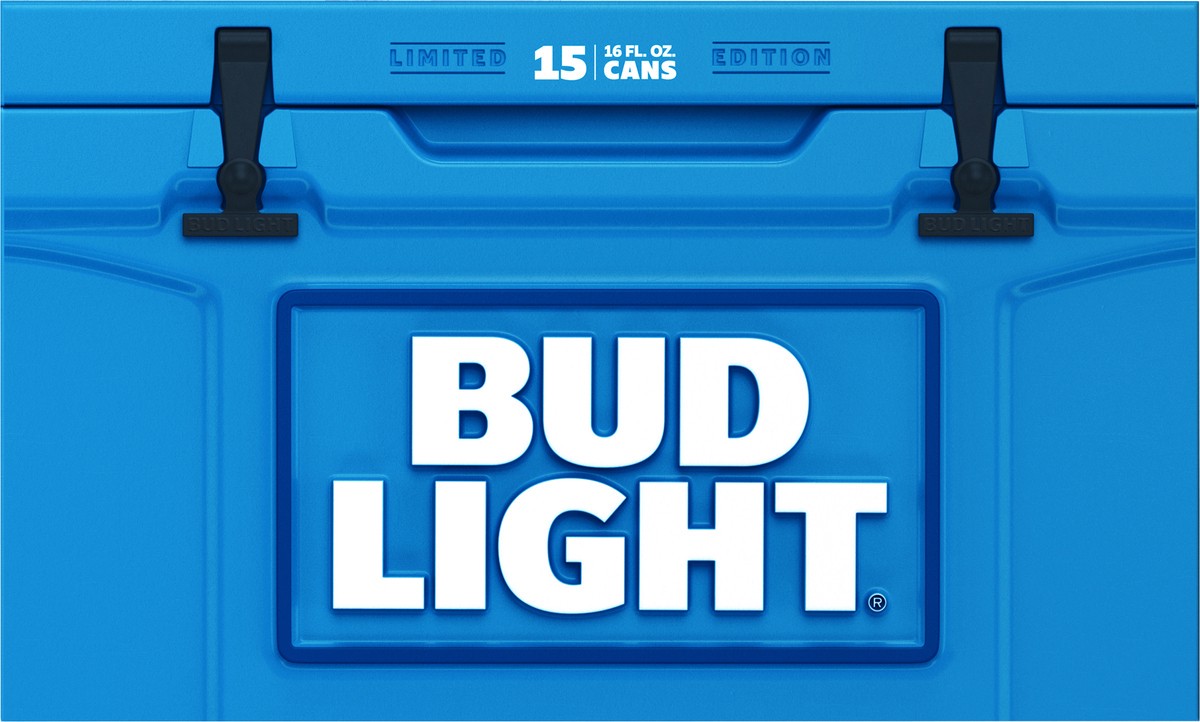 slide 10 of 11, Bud Light Beer, 16 fl oz