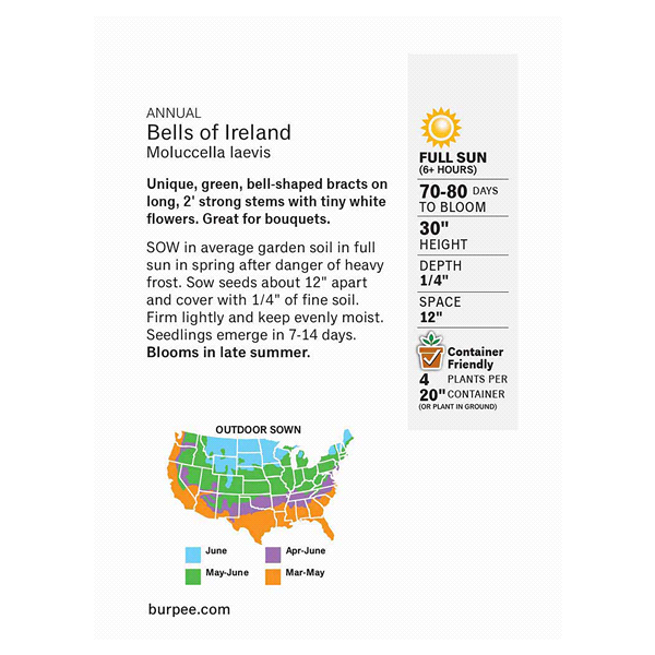 slide 4 of 5, Burpee Bells Of Ireland Moluccella Iaevis Seeds, 1 ct