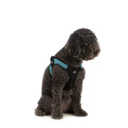 Gooby Pet Escape Free Harness - Turquoise, Medium
