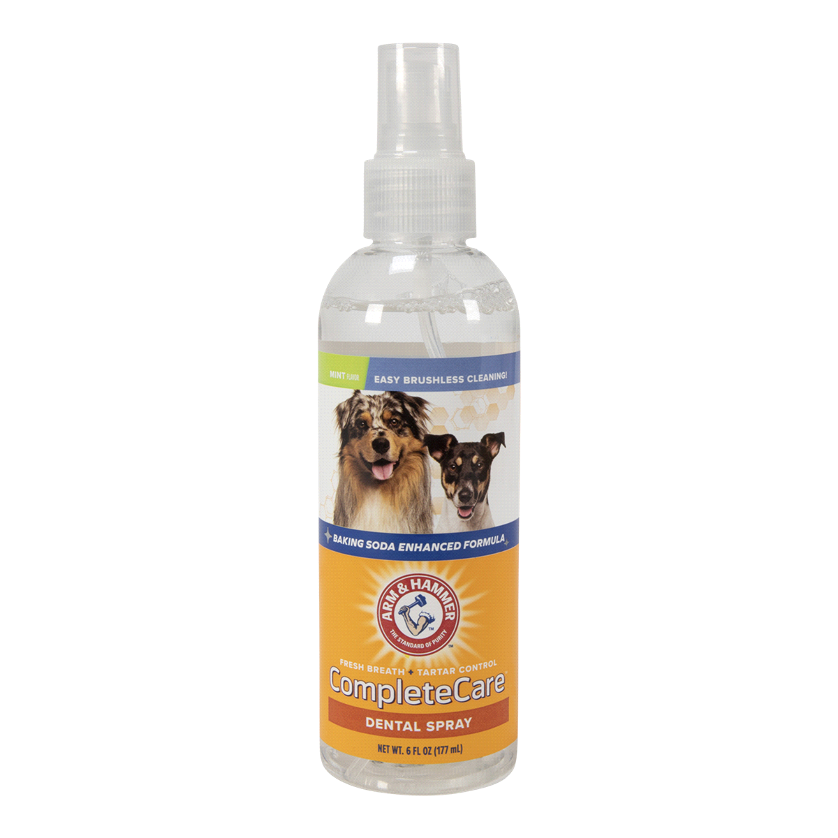 slide 1 of 5, ARM & HAMMER Complete Care Mint Flavor Dog Dental Spray, 6 fl oz