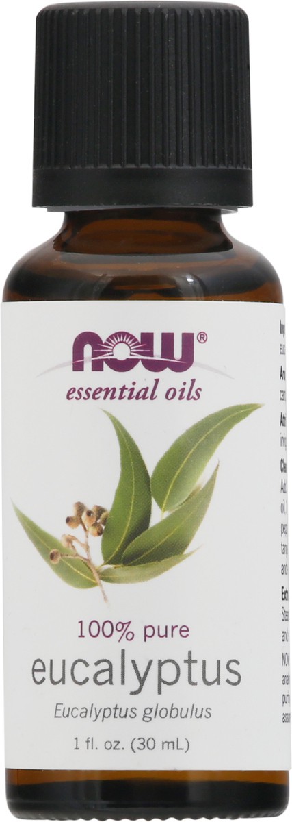 slide 1 of 4, NOW Eucalyptus Globulus Oil - 1 fl. oz., 1 fl oz