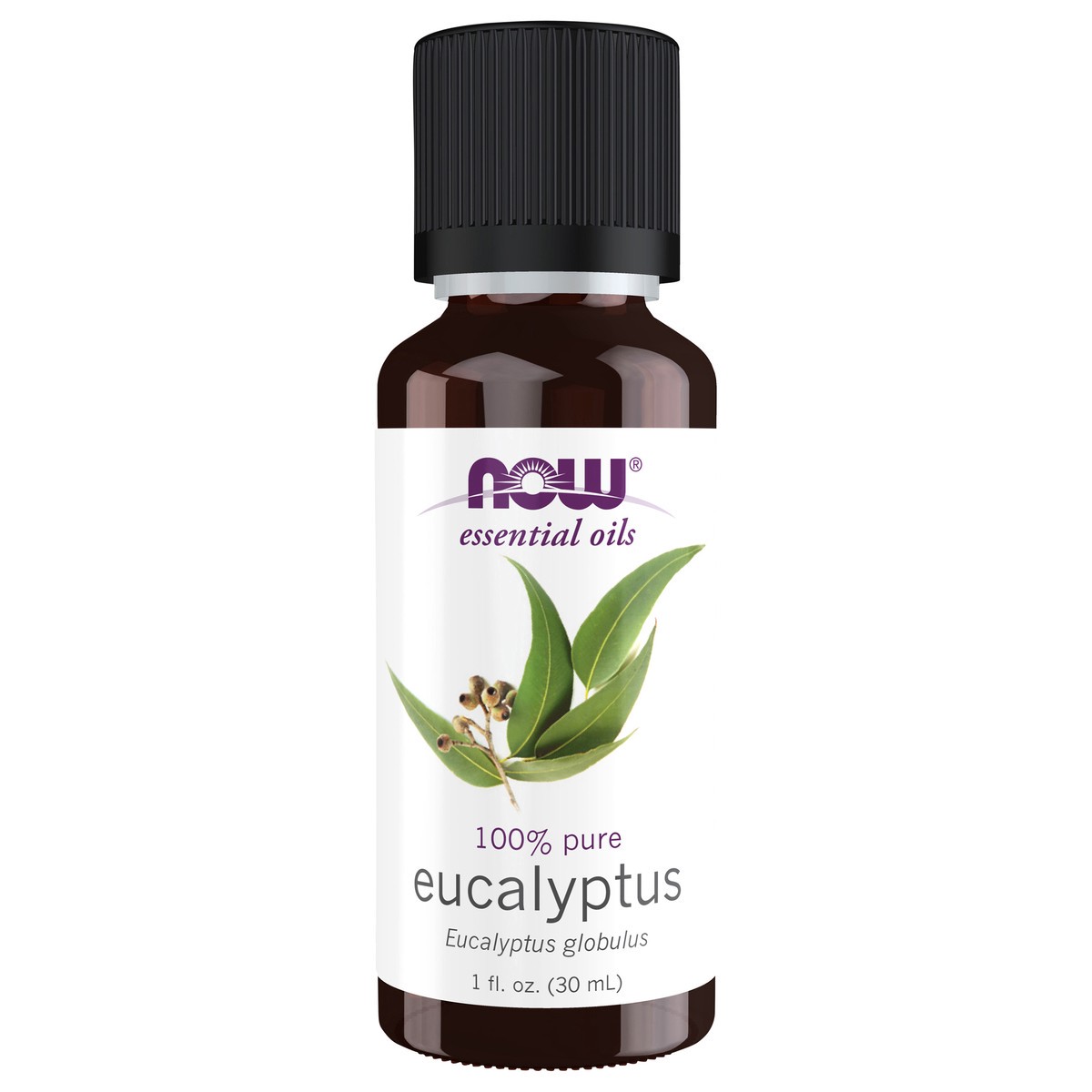 slide 1 of 4, NOW Eucalyptus Globulus Oil - 1 fl. oz., 1 fl oz
