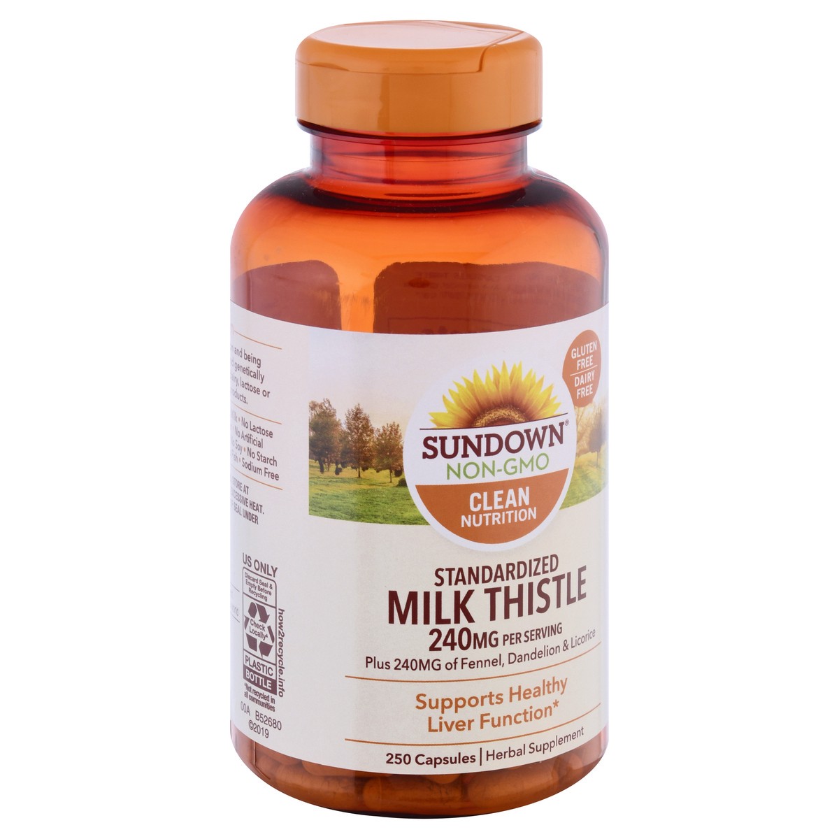 slide 2 of 9, Sundown Naturals Milk Thistle 240 Mg Capsules, 250 ct