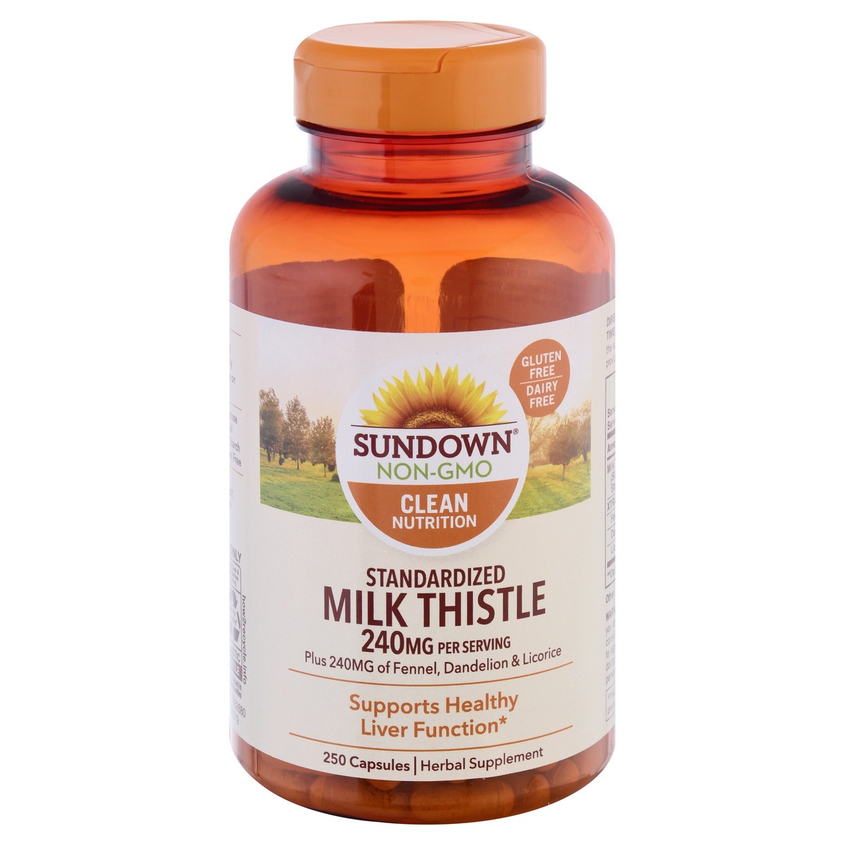 slide 1 of 9, Sundown Naturals Milk Thistle 240 Mg Capsules, 250 ct