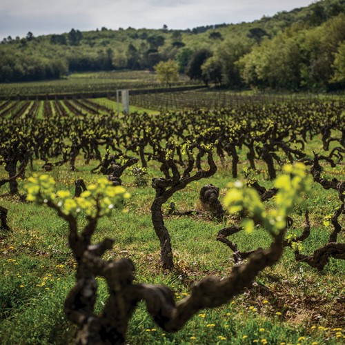 slide 4 of 10, Peyrassol, Château Peyrassol Rosé, 750 ml