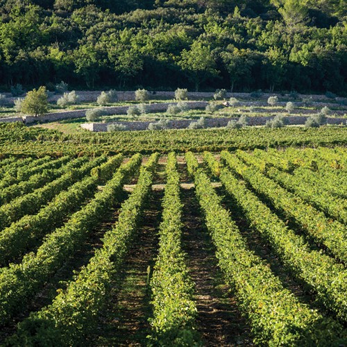 slide 6 of 10, Peyrassol, Château Peyrassol Rosé, 750 ml