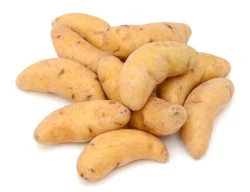 Russian Banana Fingerling Potatoes