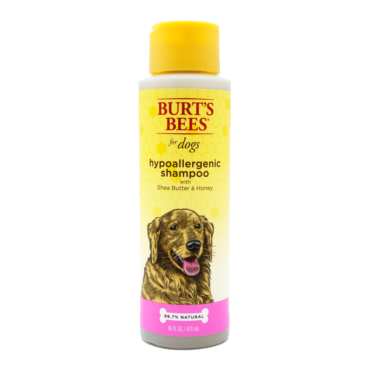 slide 1 of 9, Burt's Bees Hypoallergenic Pet Shampoo, 16 oz