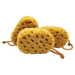 Elle & Kate Natural Sponge