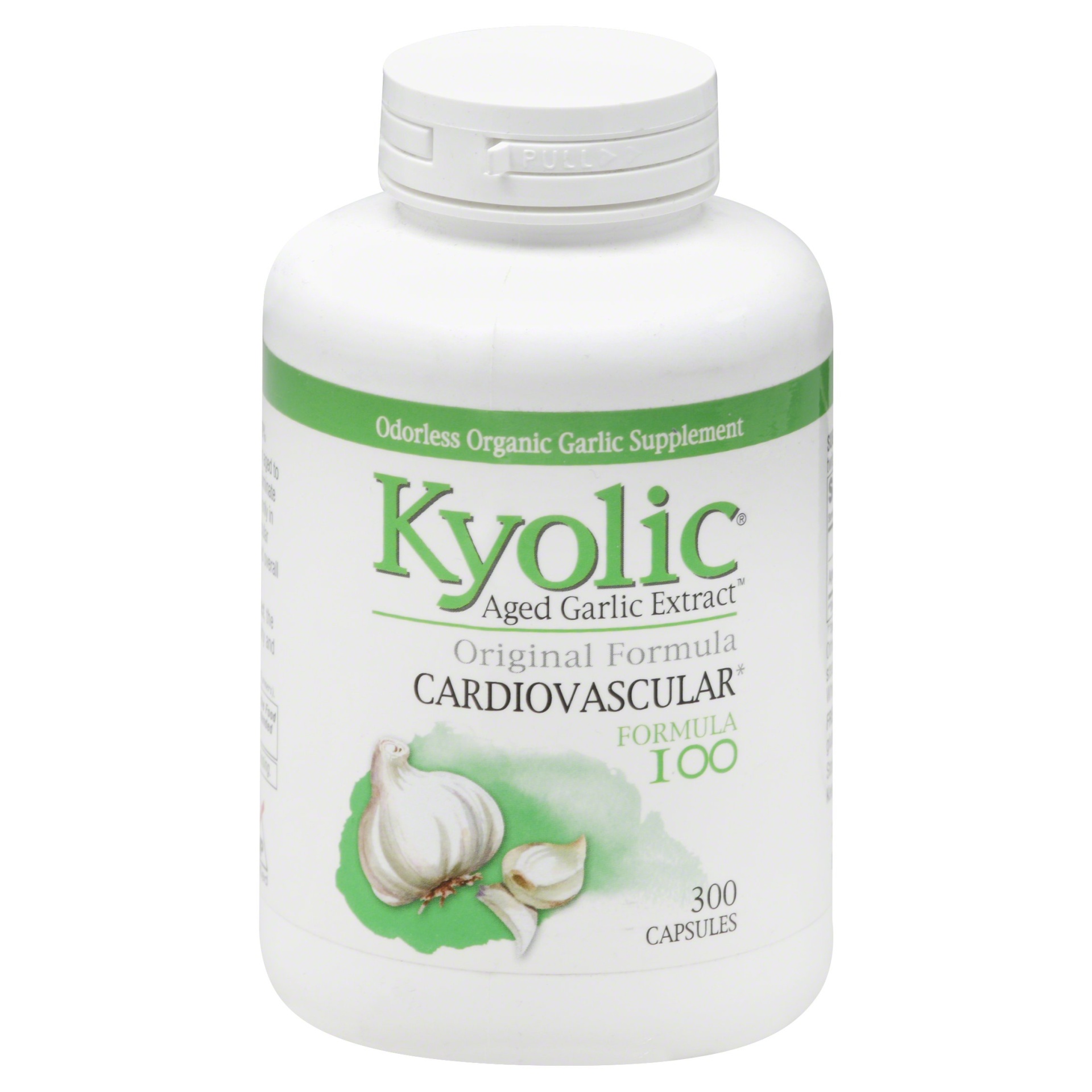 slide 1 of 1, Kyolic Aged Garlic Extract 300 ea, 300 ct