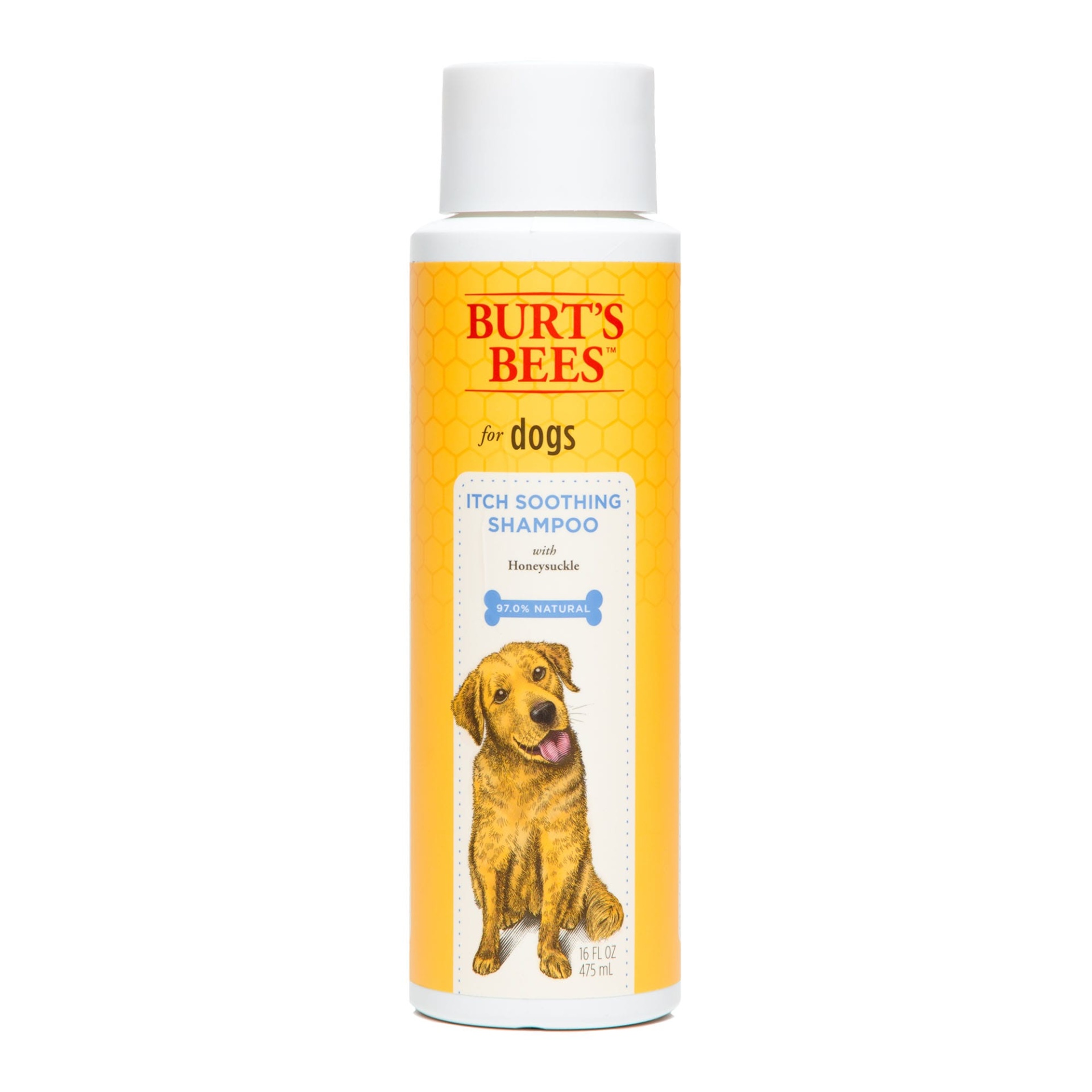 slide 1 of 1, Burt's Bees Itch Soothing Shampoo for Dogs, 16 oz, 16 fl oz