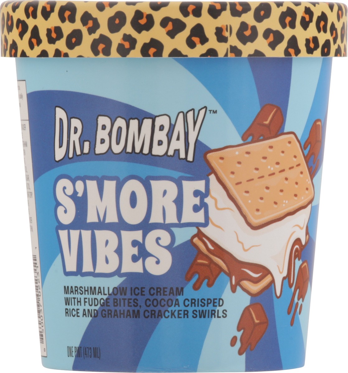 slide 3 of 13, Dr. Bombay S'more Vibes Marshmallow Ice Cream 1 pt, 1 pint