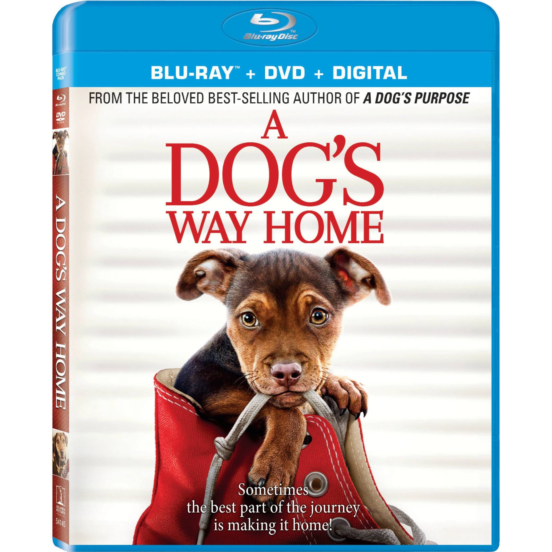 slide 1 of 1, Sony Pictures A Dog's Way Home (Blu-ray + DVD + Digital), 1 ct