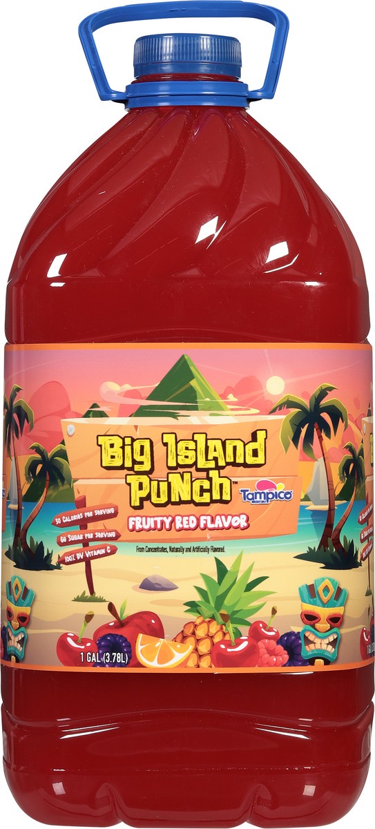 slide 11 of 11, Tampico Big Island Punch, Fruity Red Flavor, 1 gal