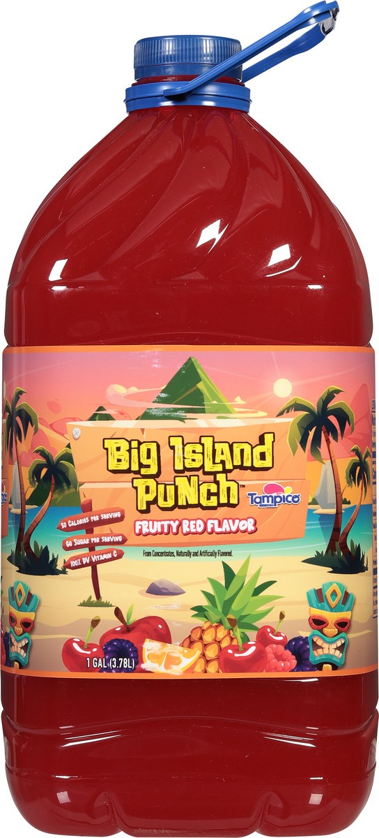 slide 6 of 11, Tampico Big Island Punch, Fruity Red Flavor, 1 gal