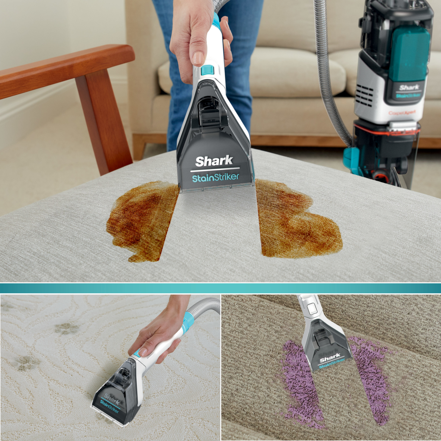 slide 5 of 7, Shark Carpet Xpert with StainStriker 1 Each, 1 ct