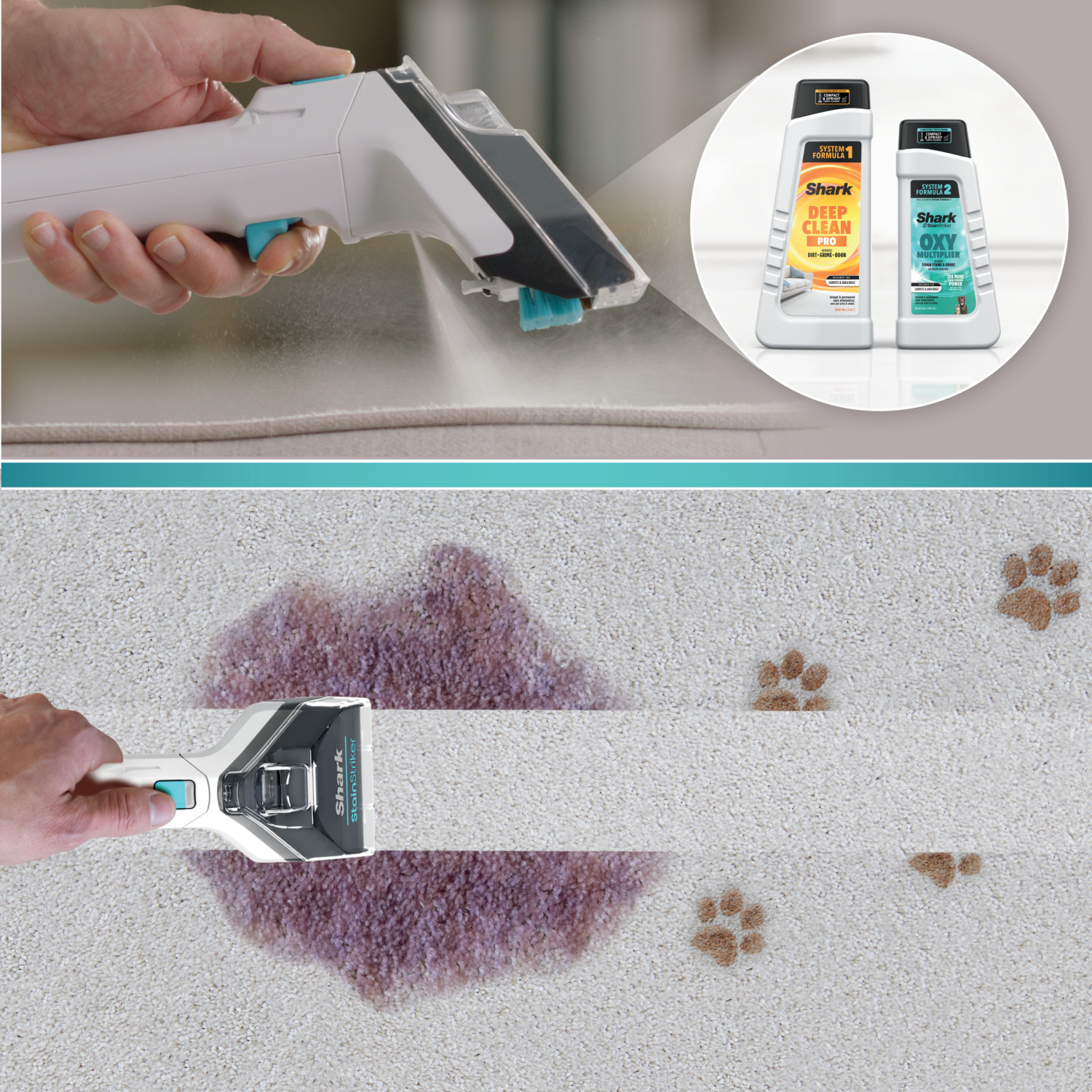 slide 6 of 7, Shark Carpet Xpert with StainStriker 1 Each, 1 ct