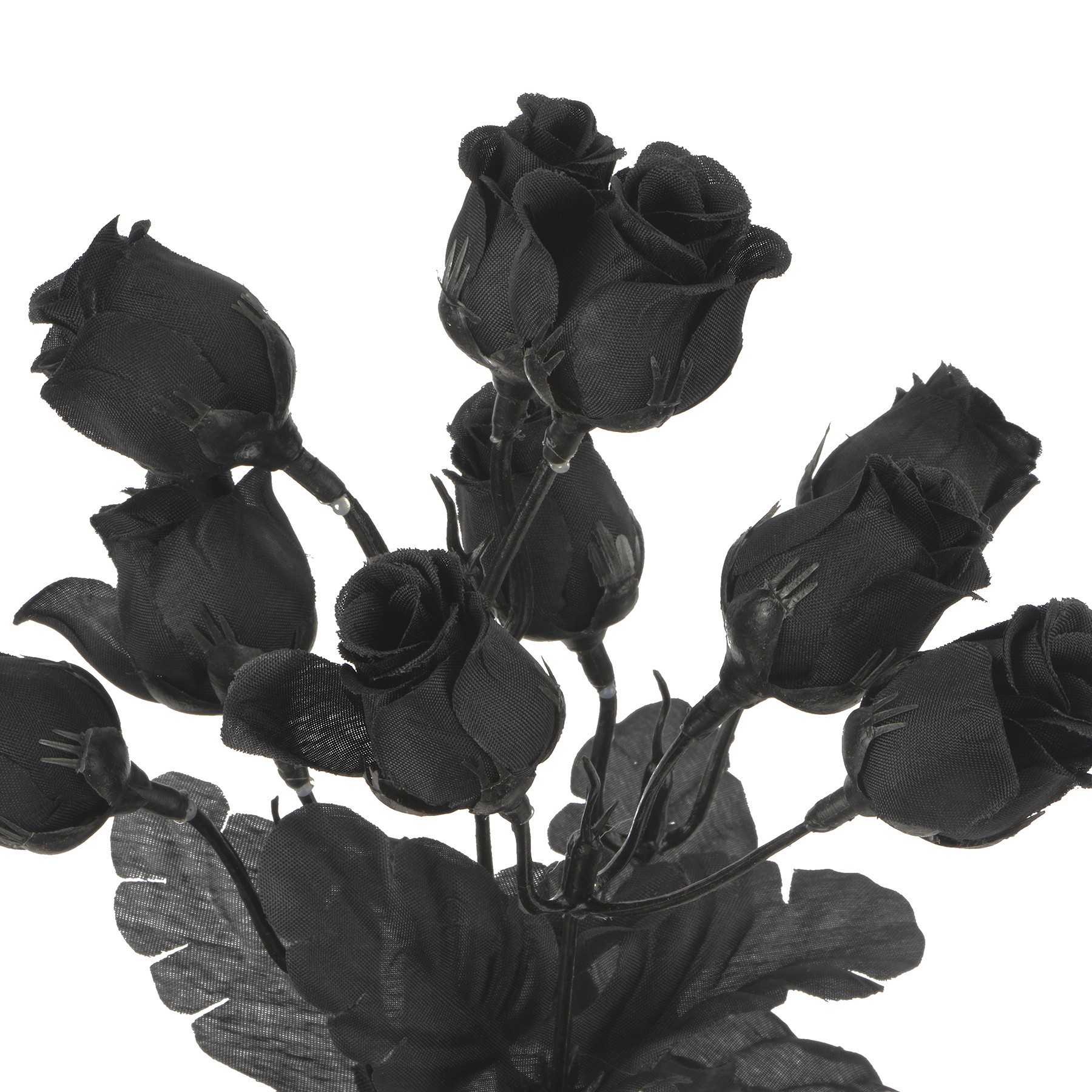 slide 2 of 2, 12" Black Rose Bush By Ashland, 12 in x 5 in x 5 in