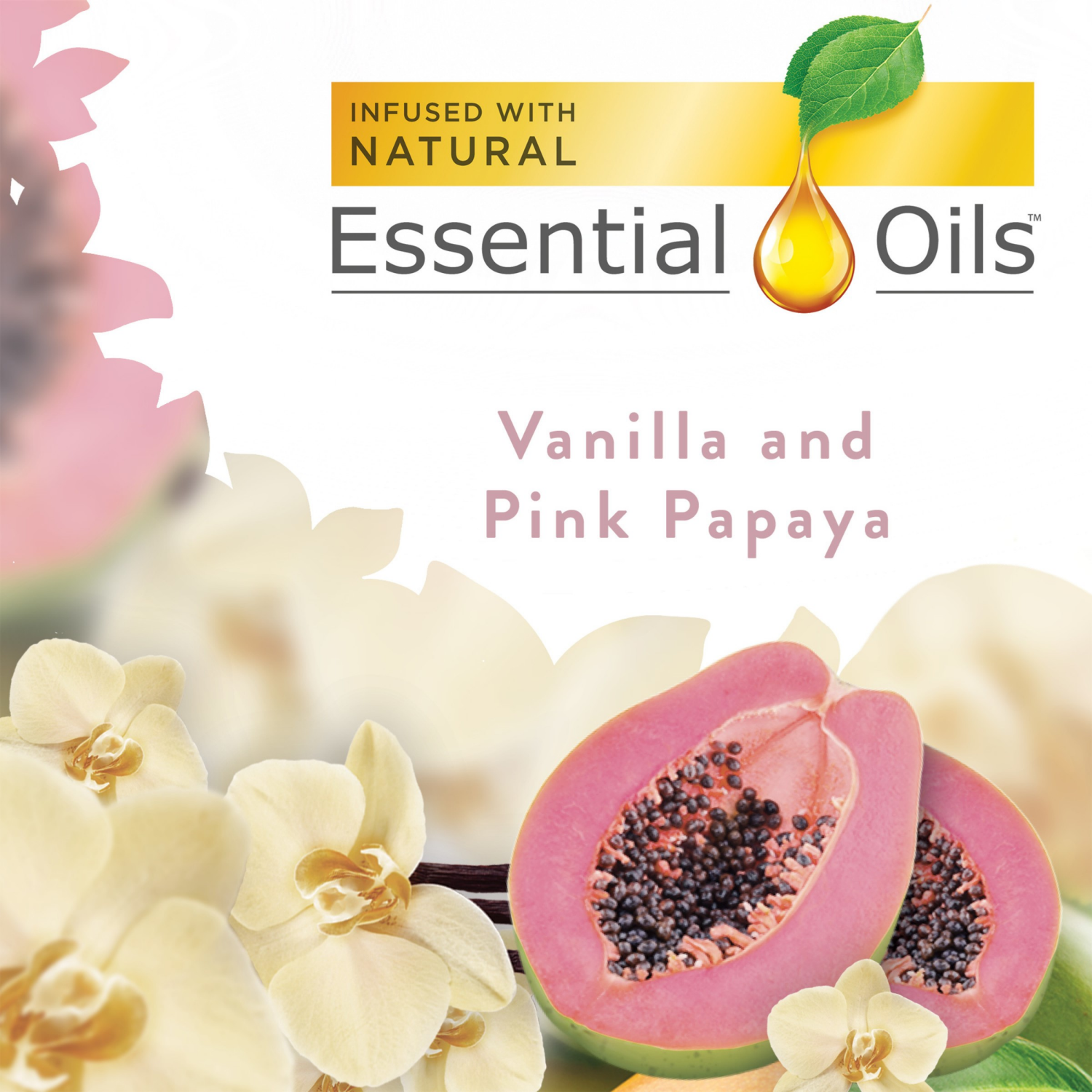 slide 3 of 7, Air Wick Vanilla and Pink Papaya Scented Oil Refill 2 Each, 2 ct