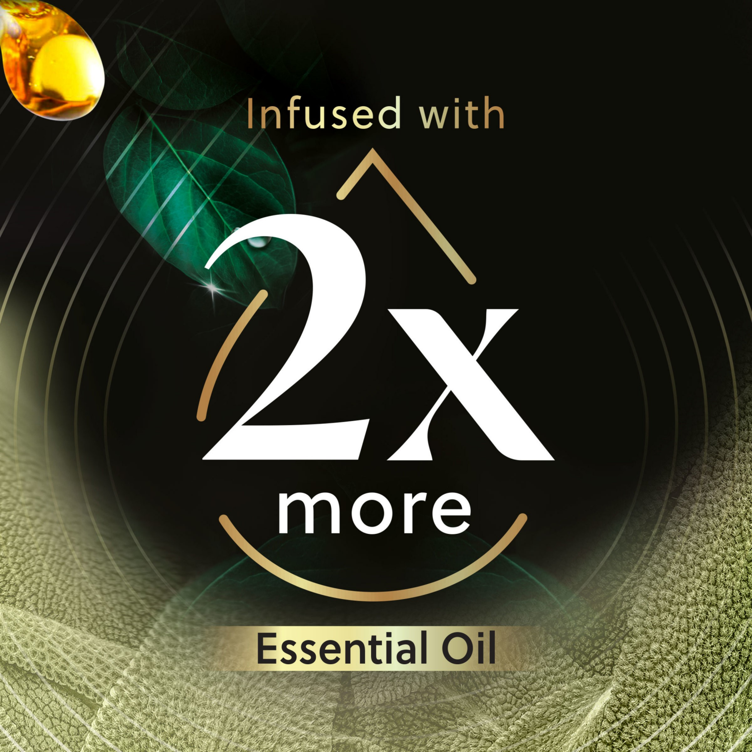 slide 4 of 8, AIR WICK Scented Oil - Refill White Sage & Mahogany, 5 ct