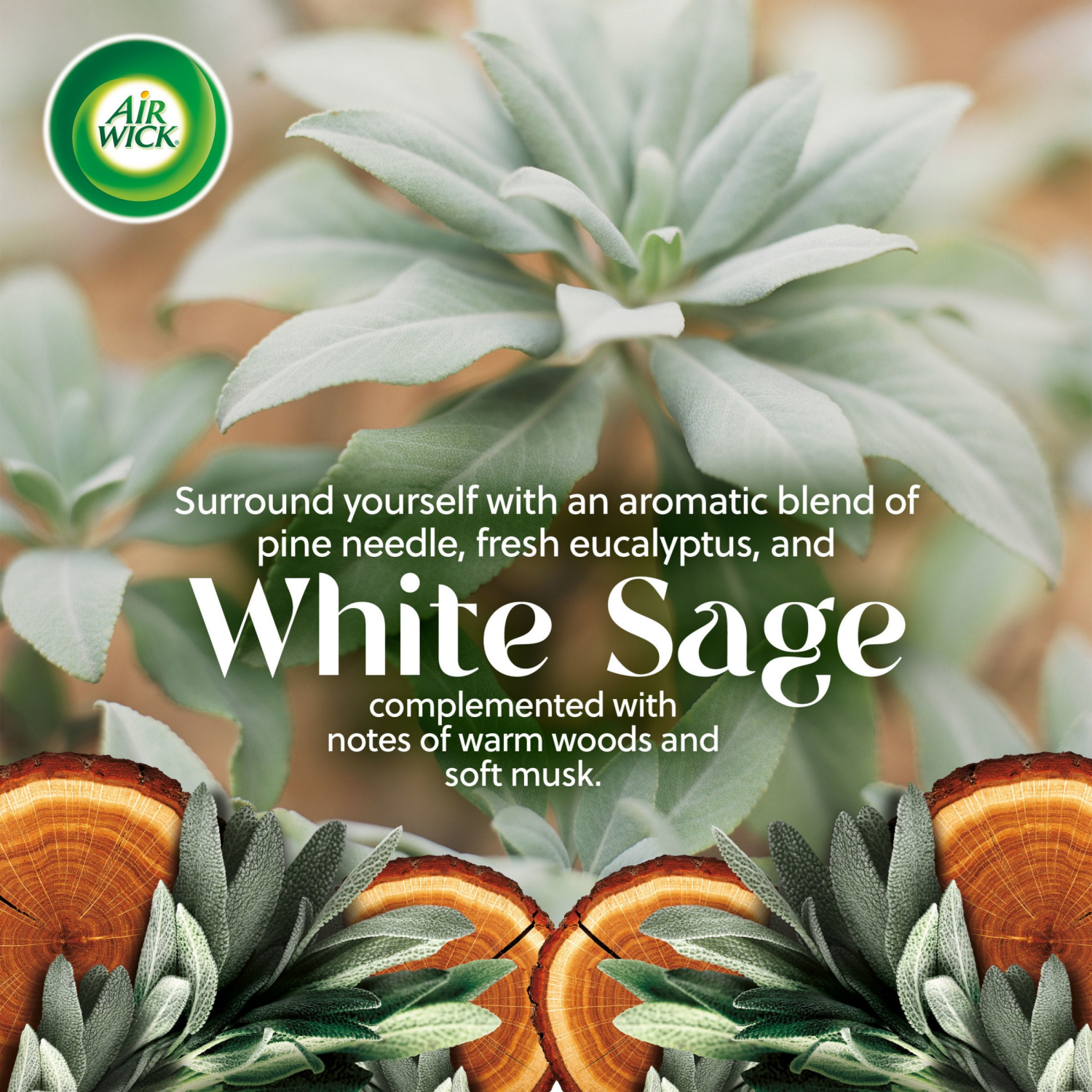 slide 5 of 8, AIR WICK Scented Oil - Refill White Sage & Mahogany, 5 ct