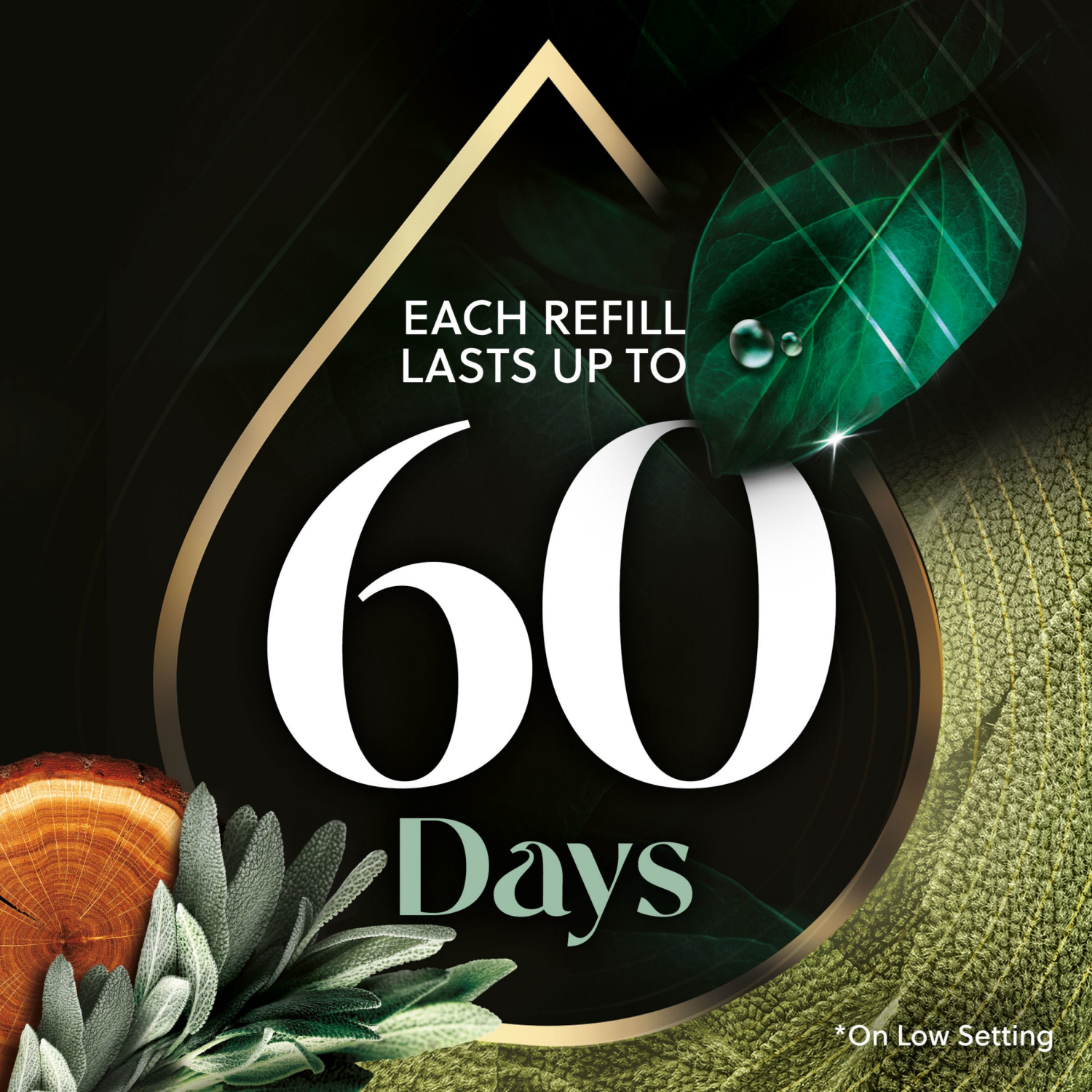 slide 8 of 8, AIR WICK Scented Oil - Refill White Sage & Mahogany, 5 ct