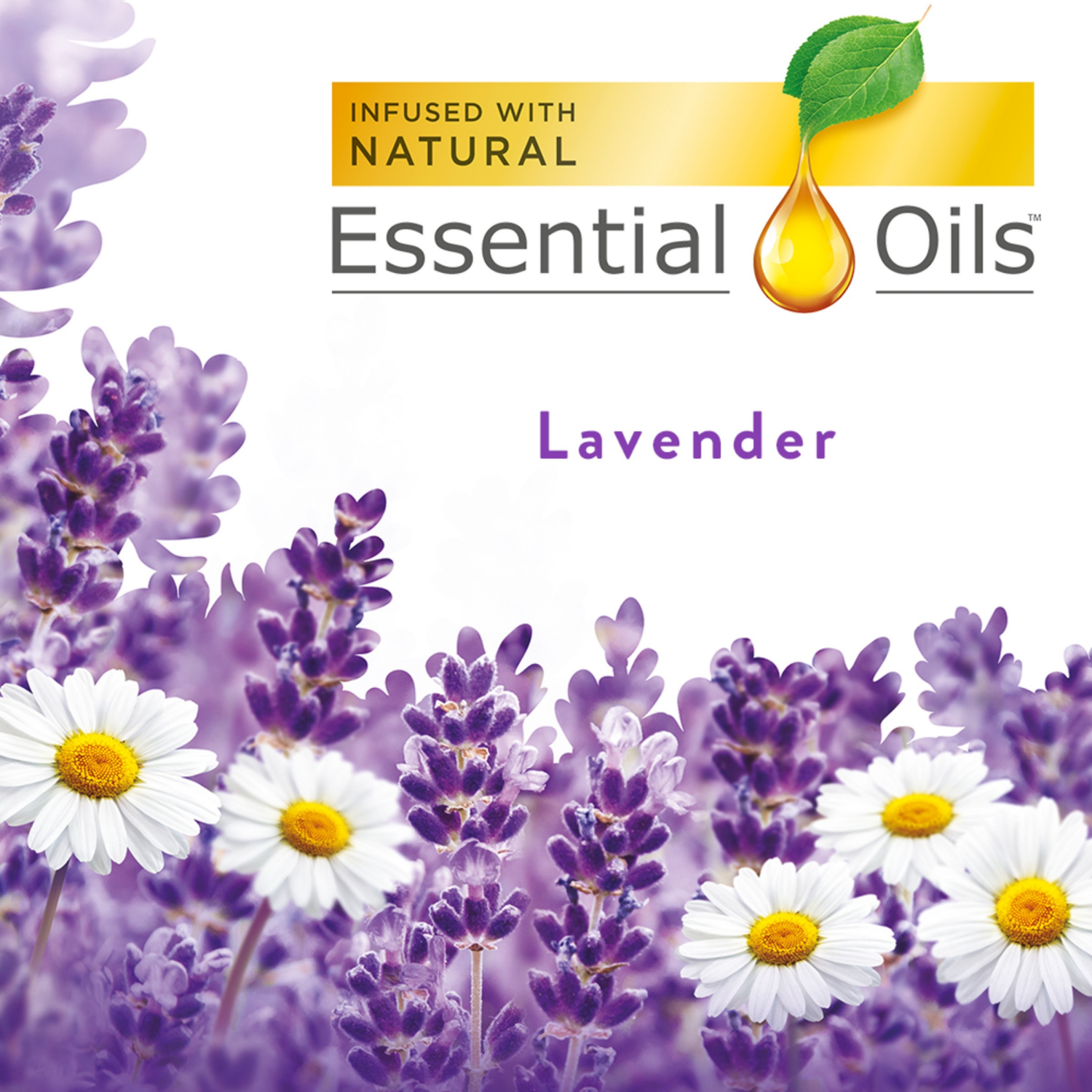 slide 2 of 8, Air Wick Essential Oils Lavender & Chamomile Scented Oil Refills 2 - 0.67 fl oz, 2 ct