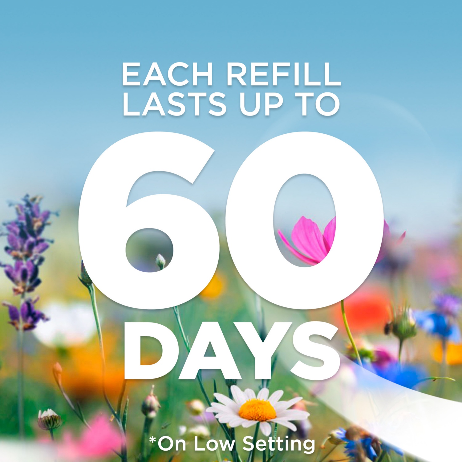 slide 4 of 7, Air Wick Essential Oils Hawaii Scented Oil Refills 1.34 fl oz, 1.34 fl oz