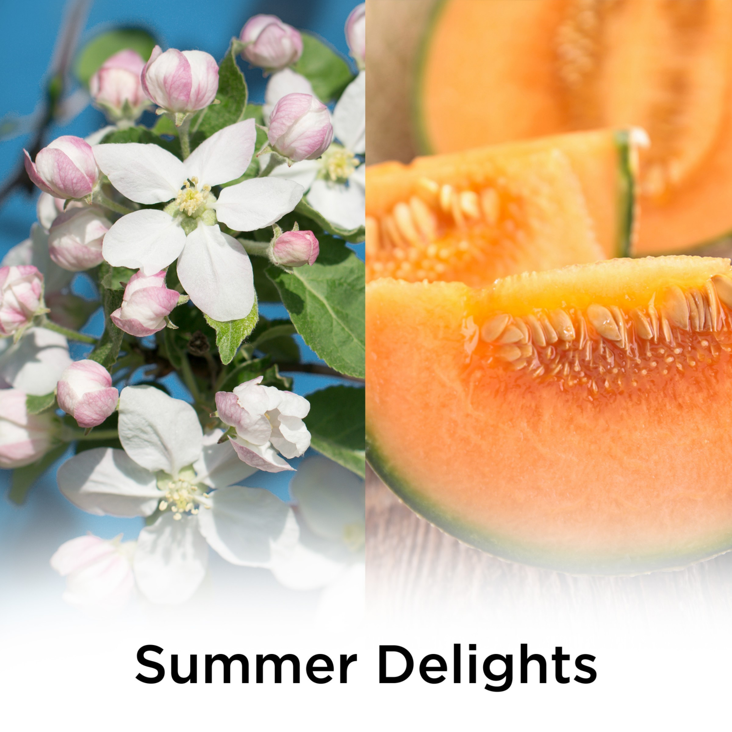 slide 3 of 7, Air Wick Essential Oils Summer Delights Scented Oil Refills 2 ea, 2 ct