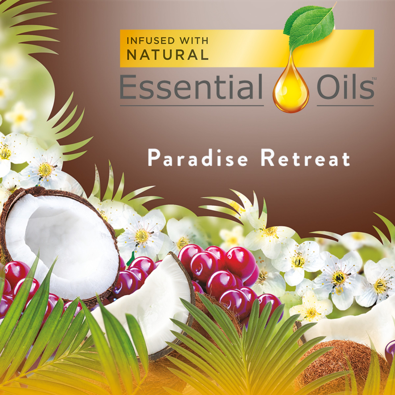 slide 3 of 7, Air Wick Cherry & Coconut Scented Oil Refills 5 ea, 5 ct