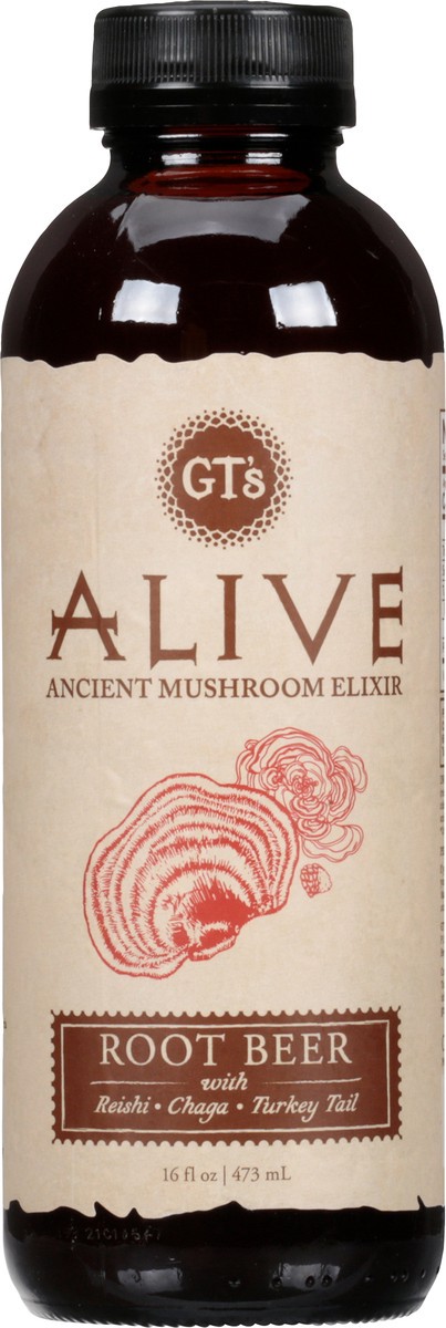 slide 12 of 14, GT's Gt's Alive Ancient Mushroom Elixir Root Beer - 16.2 fl oz, 16.2 fl oz