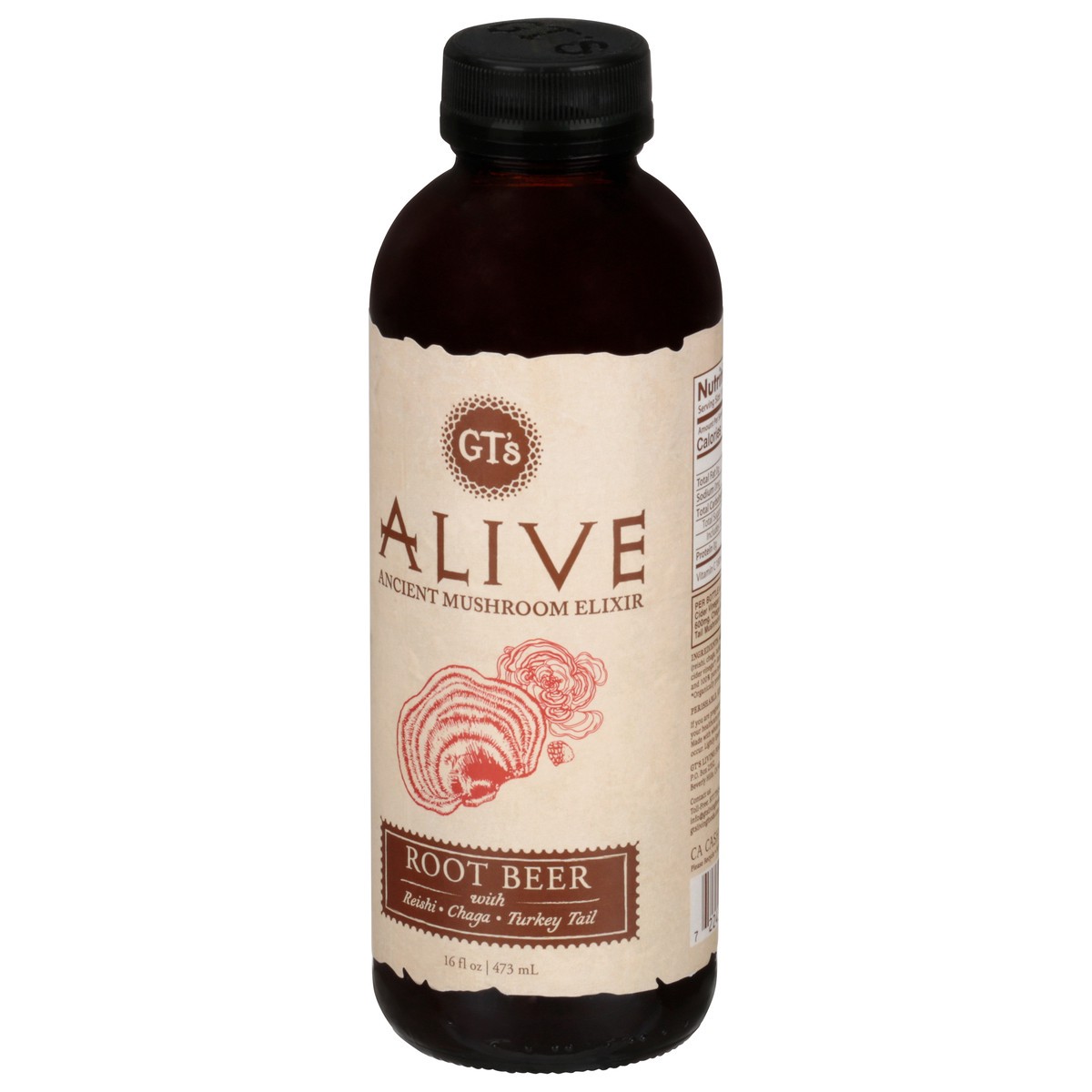 slide 4 of 14, GT's Gt's Alive Ancient Mushroom Elixir Root Beer - 16.2 fl oz, 16.2 fl oz